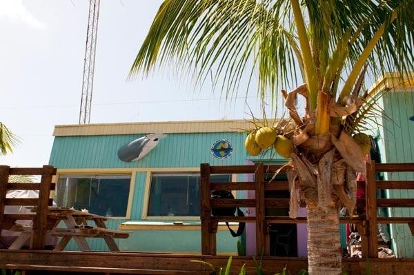 Bimini Big Game Club Reopens