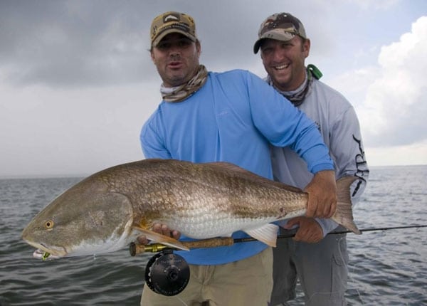 Monster Florida Reds