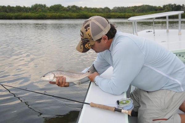 Monster Florida Reds