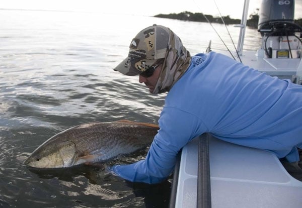 Monster Florida Reds