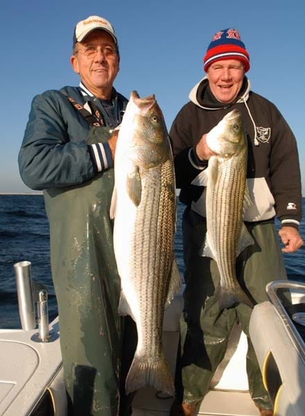 Spoon-Fed Stripers