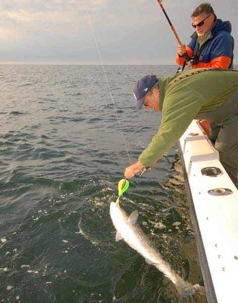 Spoon-Fed Stripers