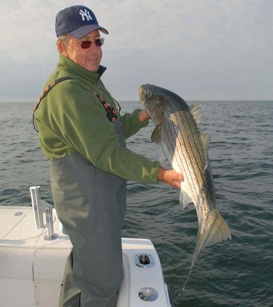 Spoon-Fed Stripers