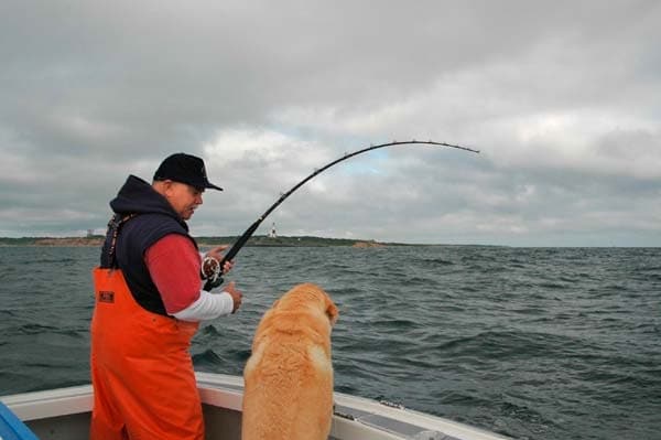 Spoon-Fed Stripers