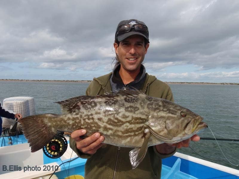 IGFA World Record Submissions