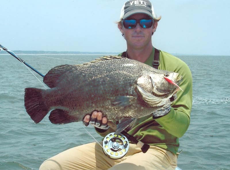 IGFA World Record Submissions