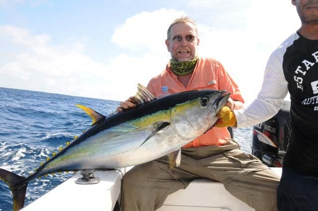 Galapagos On Fly