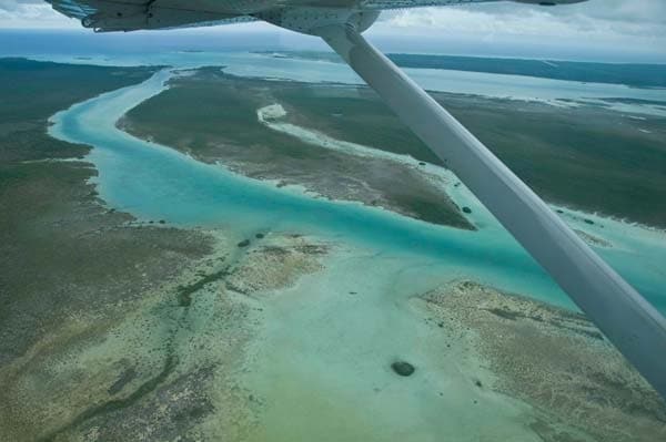 Bahamas on the Fly