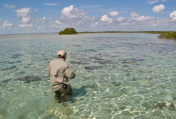 Bahamas on the Fly