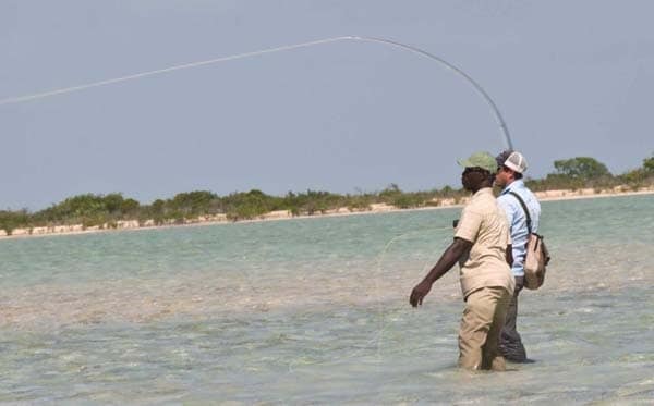 Bahamas on the Fly