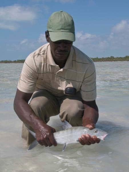 Bahamas on the Fly