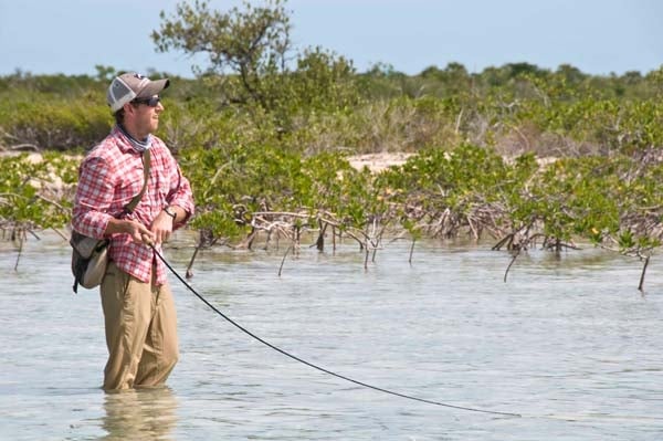 Bahamas on the Fly