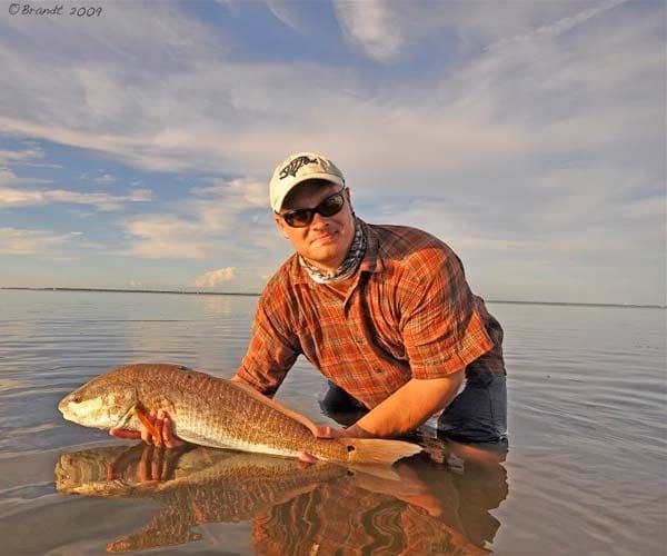 Pine Island Reds