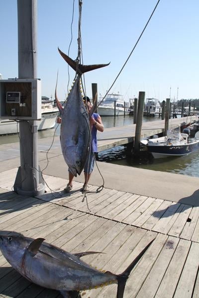 Louisiana Offshore