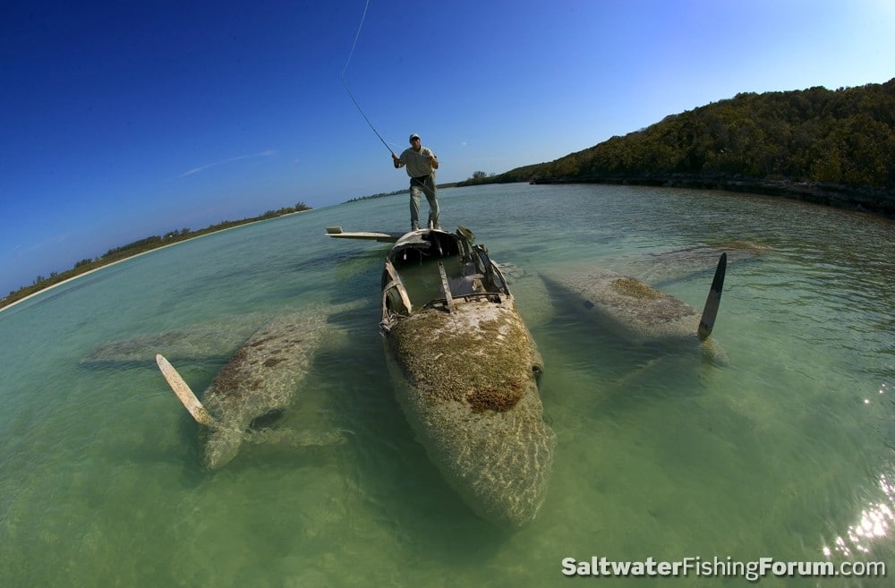 Top Fly Fishing Photos