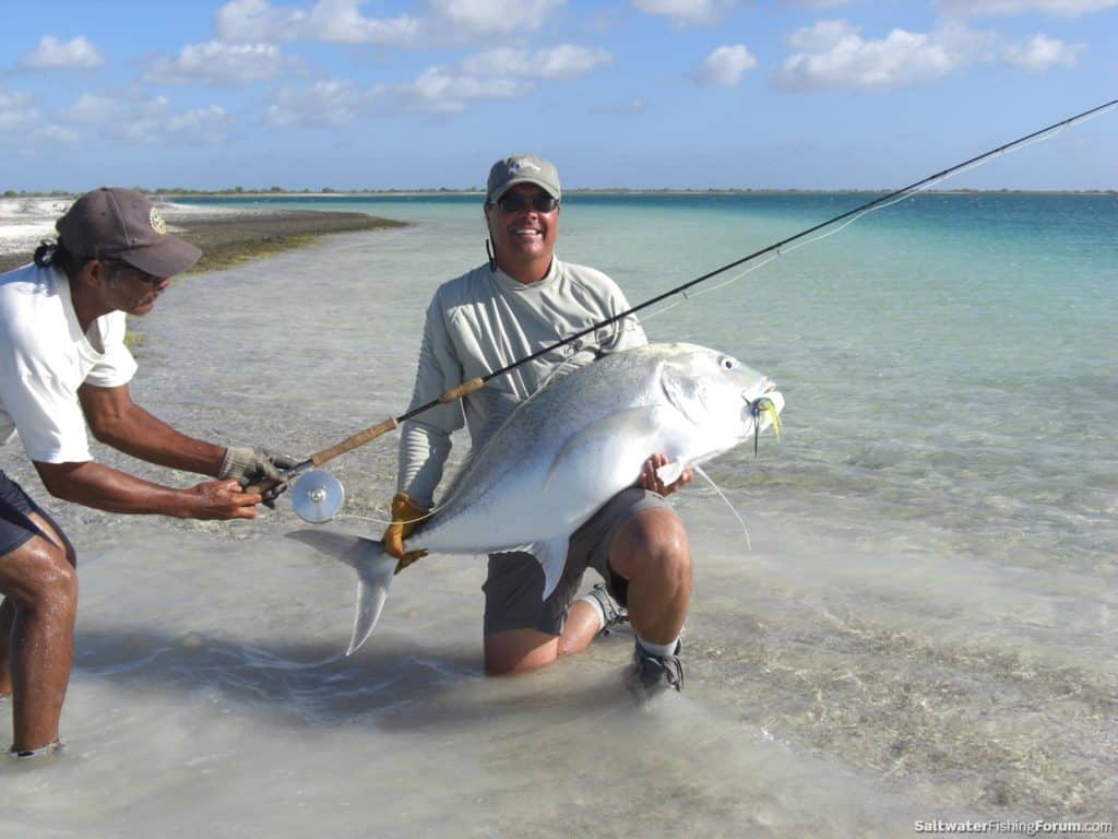 Top Fly Fishing Photos