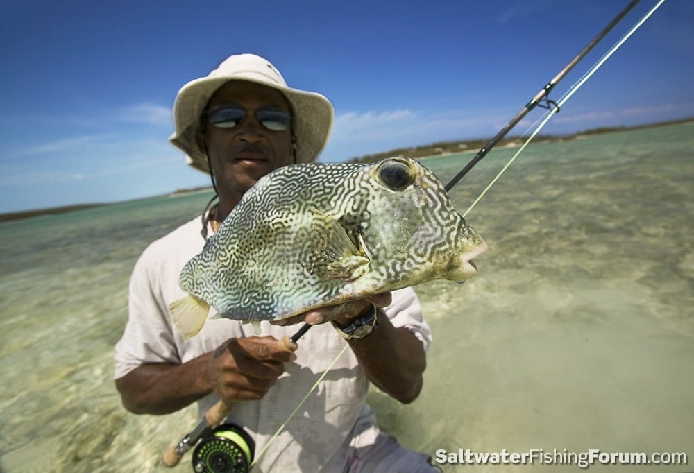Top Fly Fishing Photos