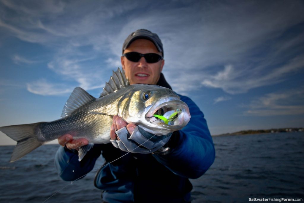 Top Fly Fishing Photos