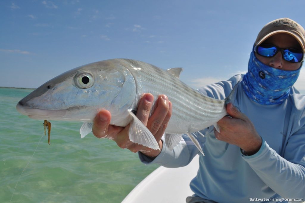 Top Fly Fishing Photos