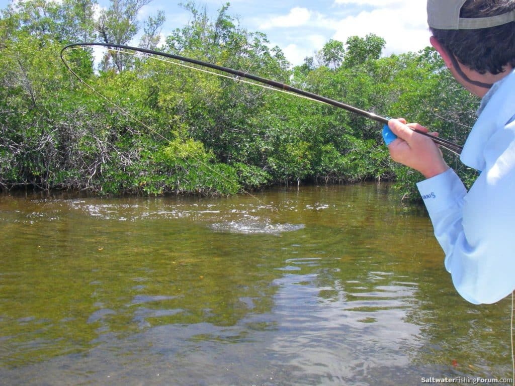 Top Fly Fishing Photos