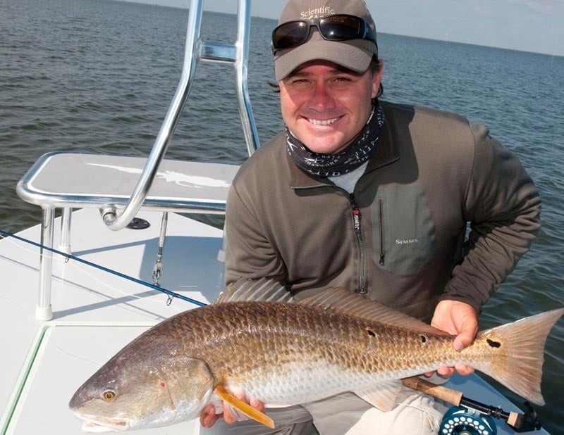 Reds of the Louisiana Marsh