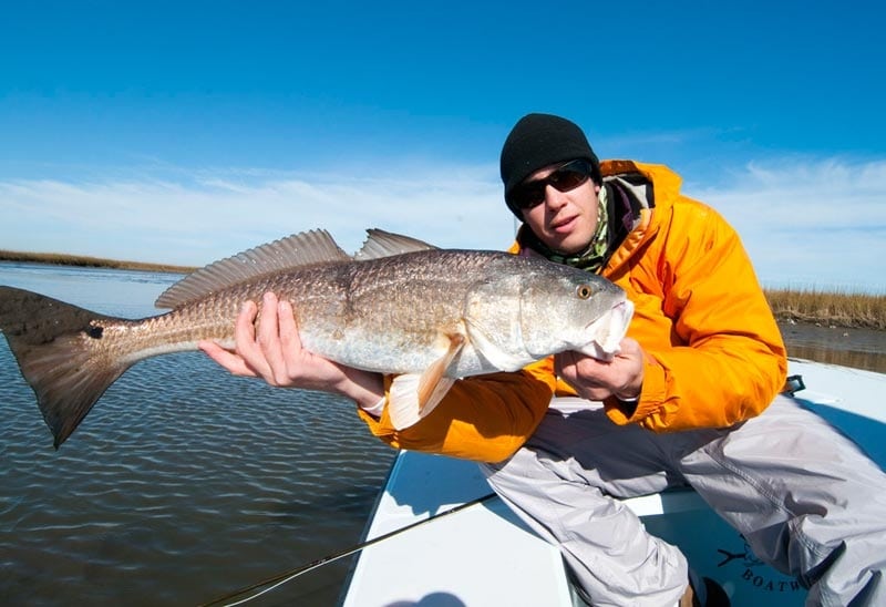 Reds of the Louisiana Marsh