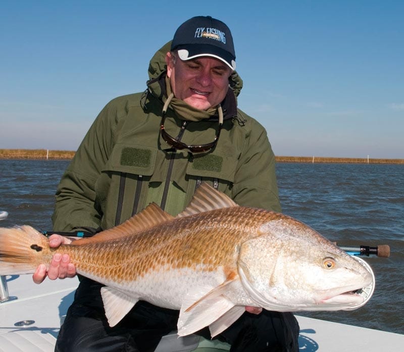 Reds of the Louisiana Marsh