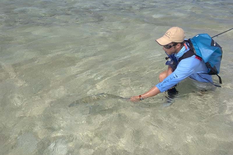 St. Brandon's Atoll