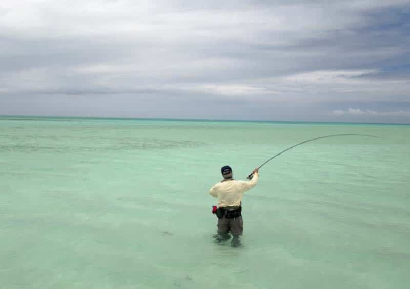 St. Brandon's Atoll