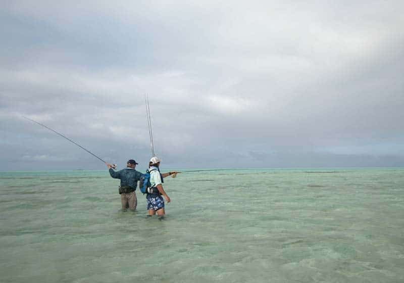 St. Brandon's Atoll