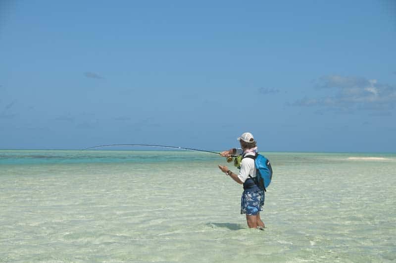 St. Brandon's Atoll