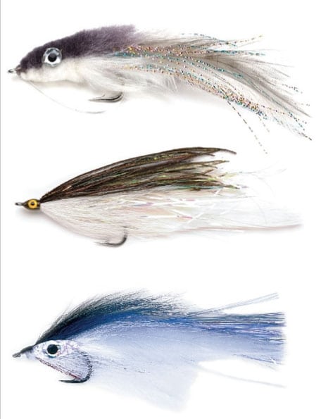 Match the Hatch for Stripers