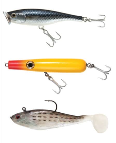 Match the Hatch for Stripers