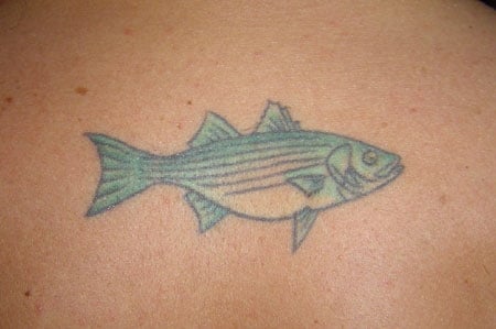 Fish Tattoos I