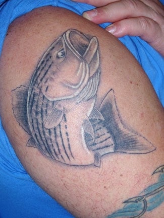 Fish Tattoos I  Salt Water Sportsman