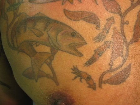 Fish Tattoos II