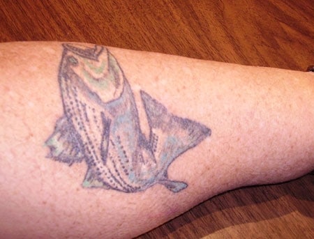 Fish Tattoos II