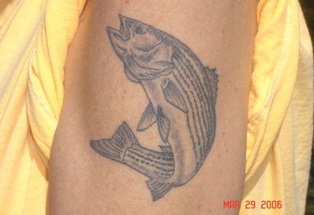 Fish Tattoos III