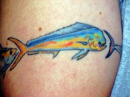 Fish Tattoos III