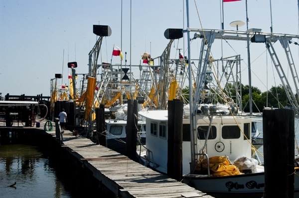 Recreational Fishing Leaders Find Gulf Action