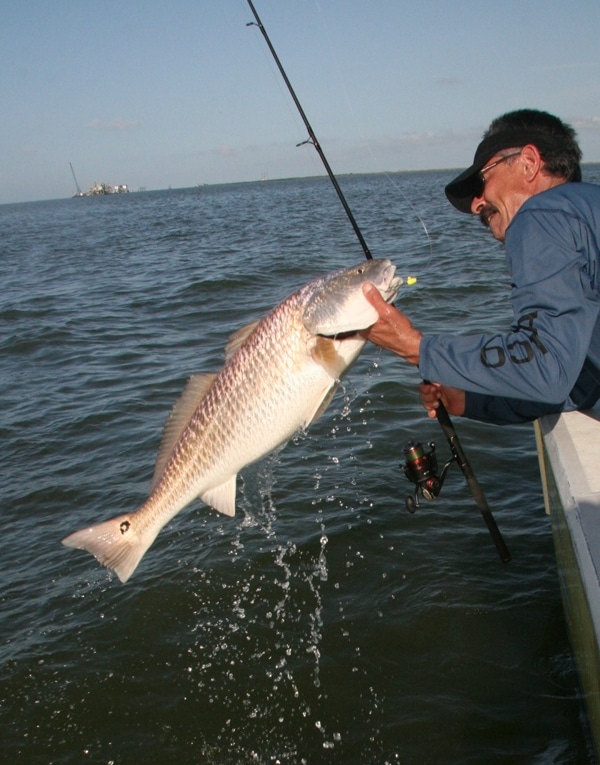 Recreational Fishing Leaders Find Gulf Action