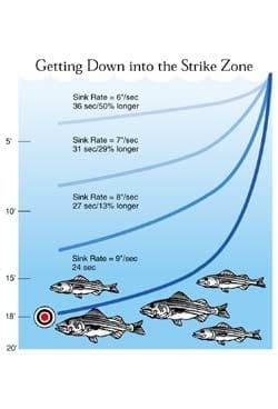Saltwater 101: Staying in the Strike Zone