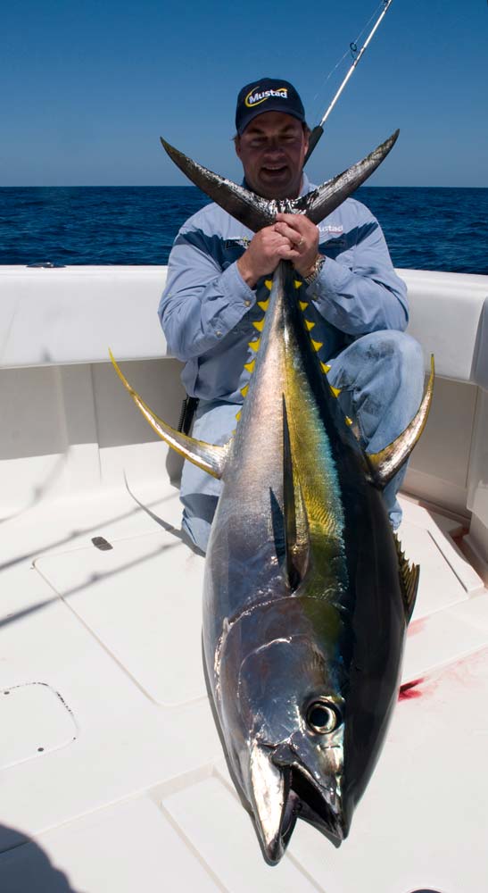 yellowfin tuna