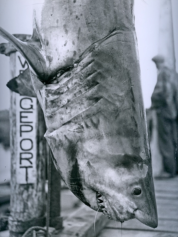 Rare Historical IGFA Fishing Photos - 2