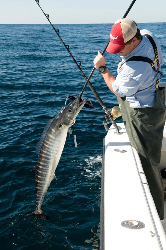 offshore fishing for wahoo