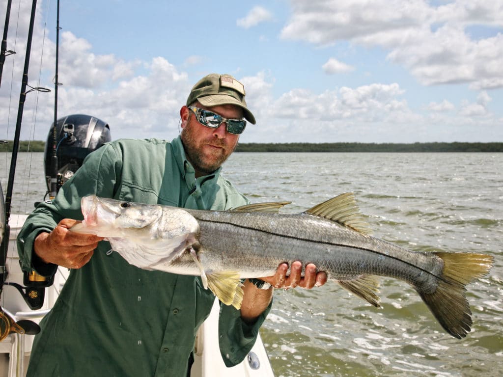 Key Largo has it all, variety and abundance