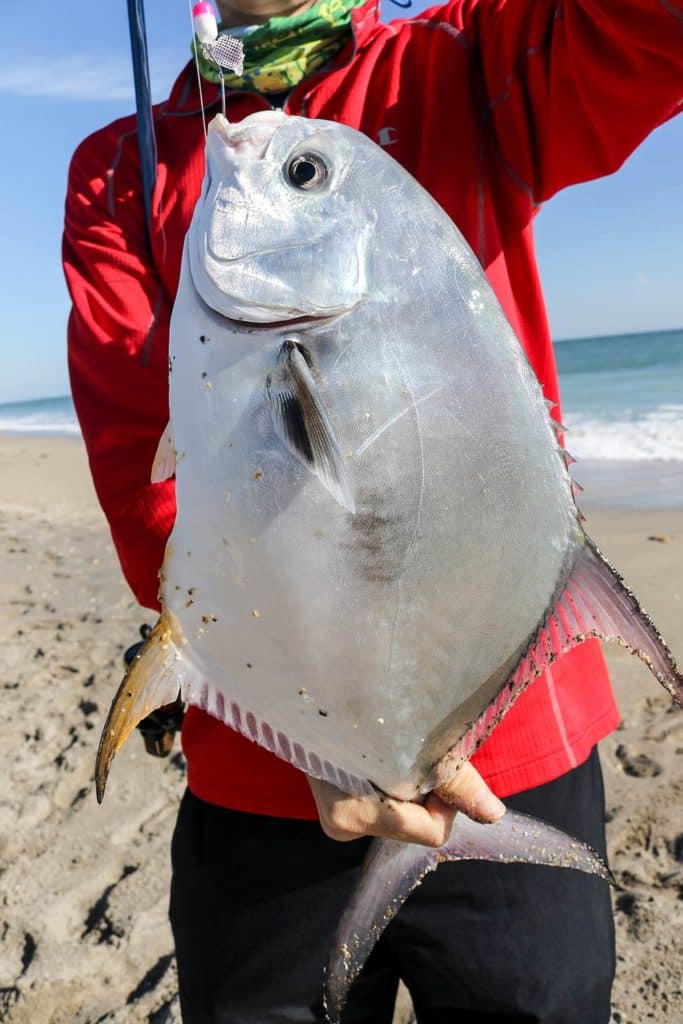 Surf Fishing for Pompano