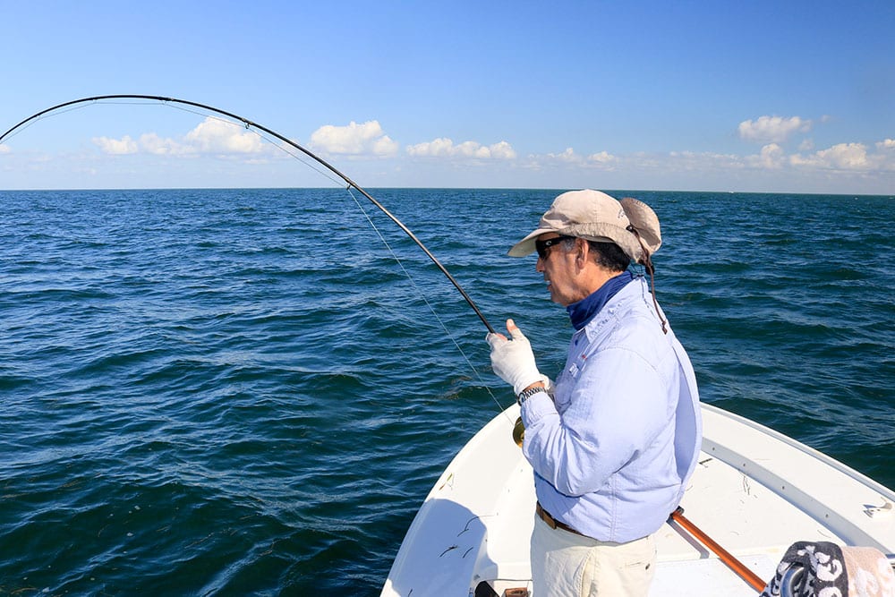 Spanish mackerel caught on fly in Florida Bay