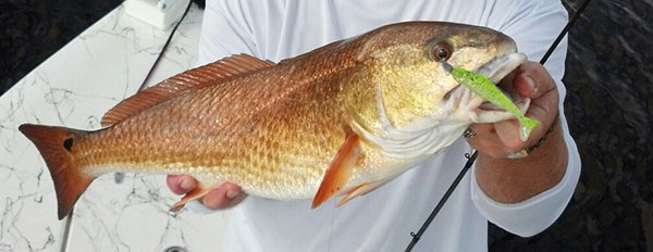 2.-“freddie”-frederick,-pro-redfish.jpg