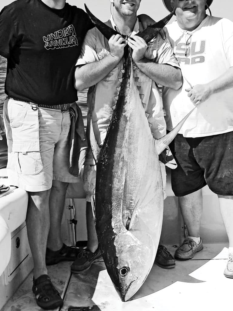 Large yellowfin tuna collect behind shrimp boats in search of an easy meal.